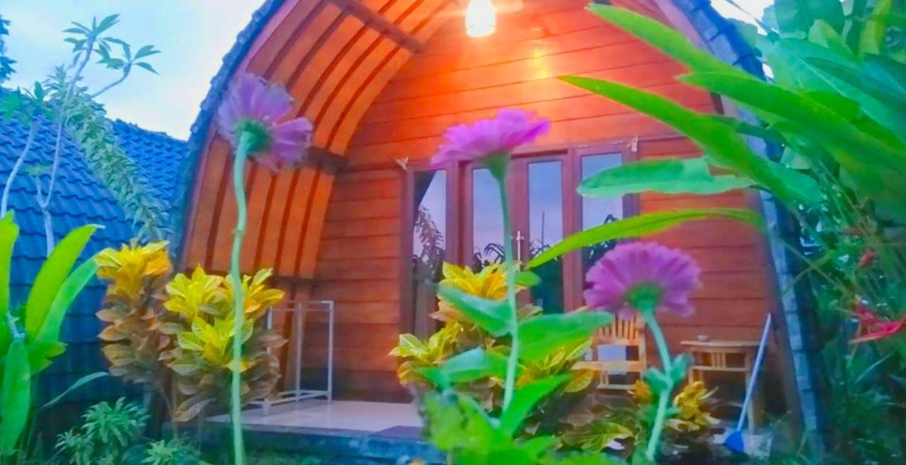 Morning Bali Bungalow Чангу Екстер'єр фото