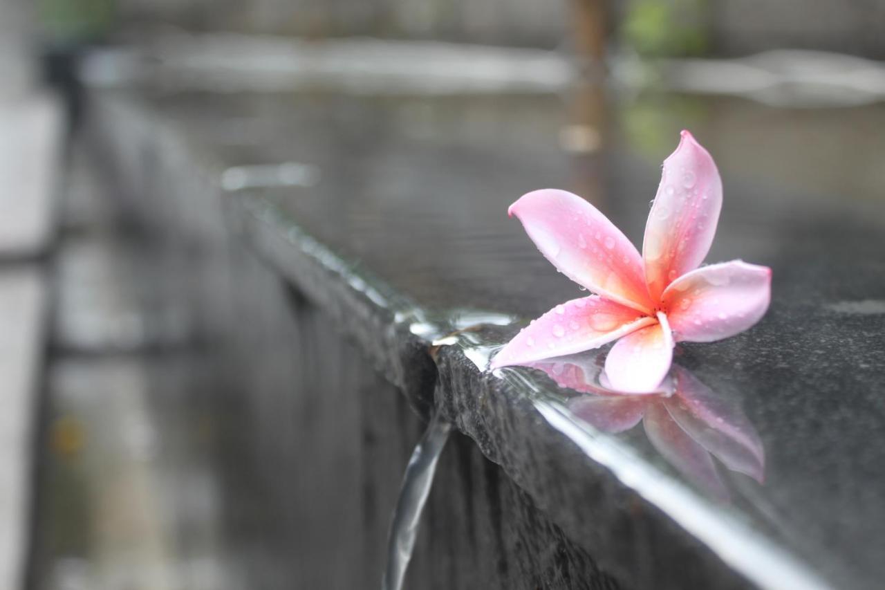 Morning Bali Bungalow Чангу Екстер'єр фото